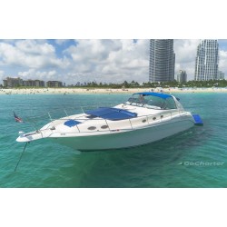 Sea Ray 450