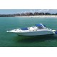 Sea Ray 450