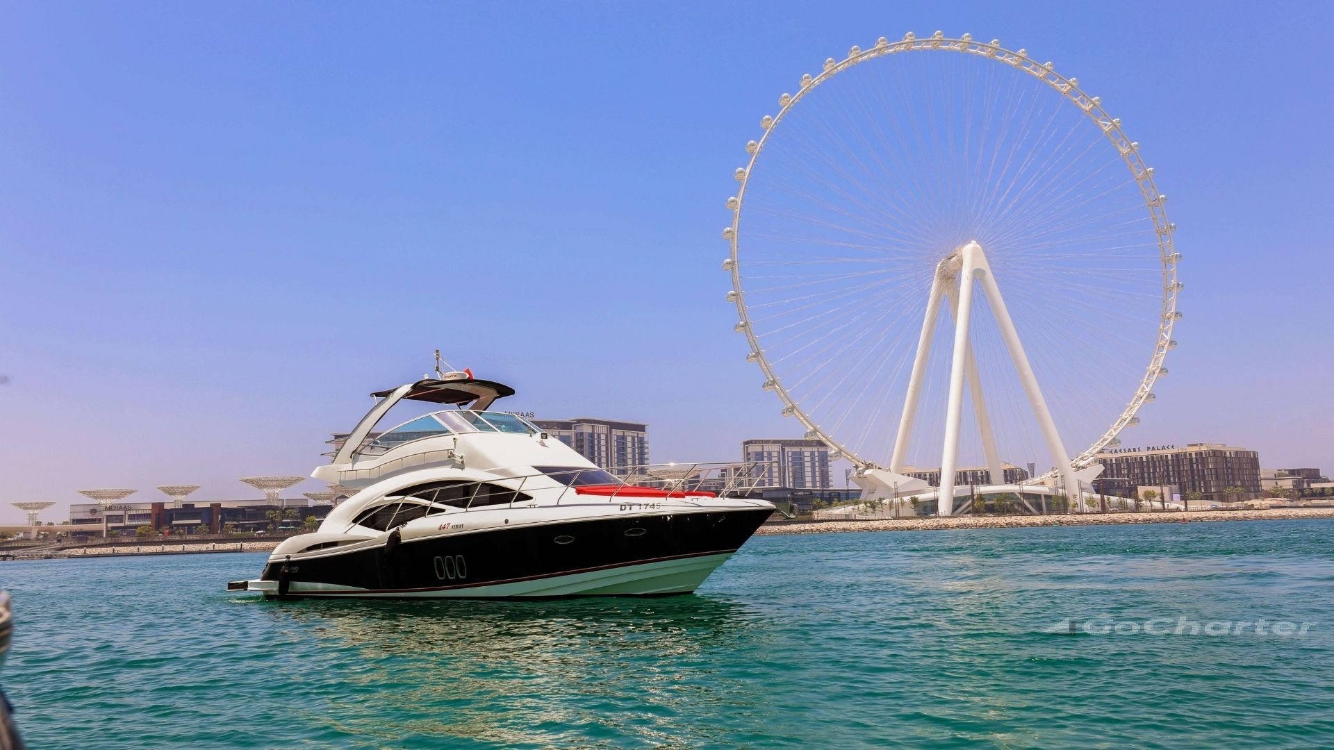 Ammos Cruiser