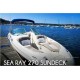 Sea Ray 270