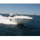 SUNSEEKER PREDATOR 64