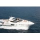 SUNSEEKER PREDATOR 64